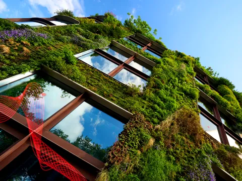 Living wall